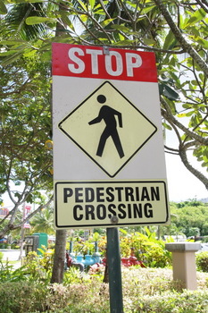 pedestrian-mini.jpg